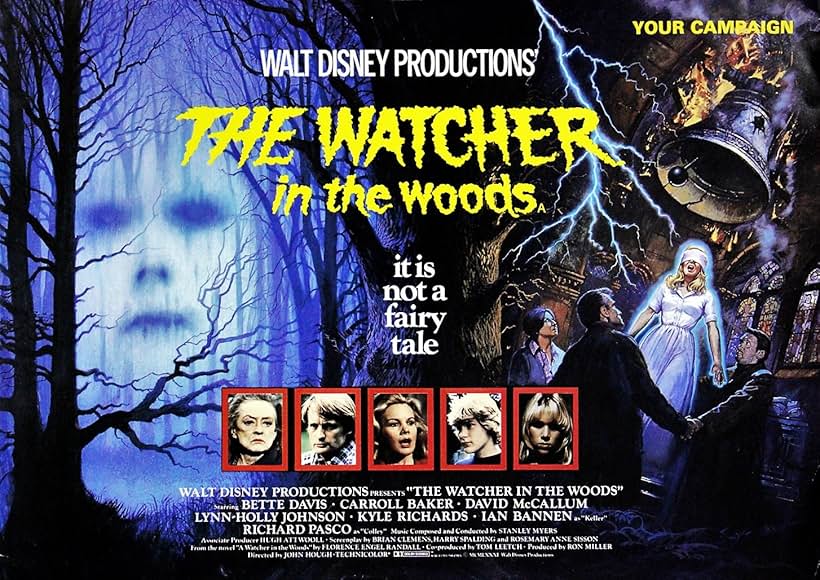 Bette Davis, Lynn-Holly Johnson, Ian Bannen, Carroll Baker, Frances Cuka, David McCallum, Richard Pasco, and Benedict Taylor in The Watcher in the Woods (1980)