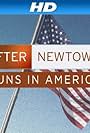 After Newtown: Guns in America (2013)