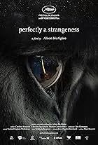 Perfectly a Strangeness