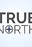 True North (TV Series 2018– ) Poster