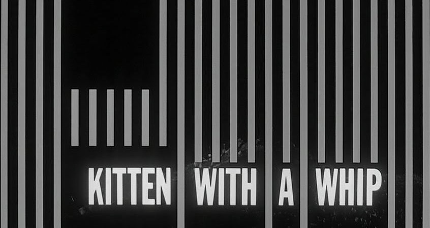 Kitten with a Whip (1964)