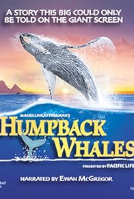 Primary photo for Humpback Whales
