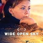 Wide Open Sky (2015)