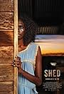 Shed (2019)