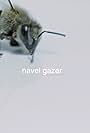 Navel Gazer (2013)