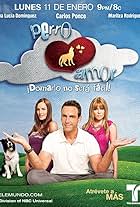 Carlos Ponce, Ana Lucía Domínguez, and Sarah Mintz in Perro Amor (2010)