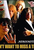 Aerosmith in Aerosmith: I Don't Want to Miss a Thing (1998)