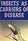 Health for the Americas: Insects as Carriers of Disease's primary photo