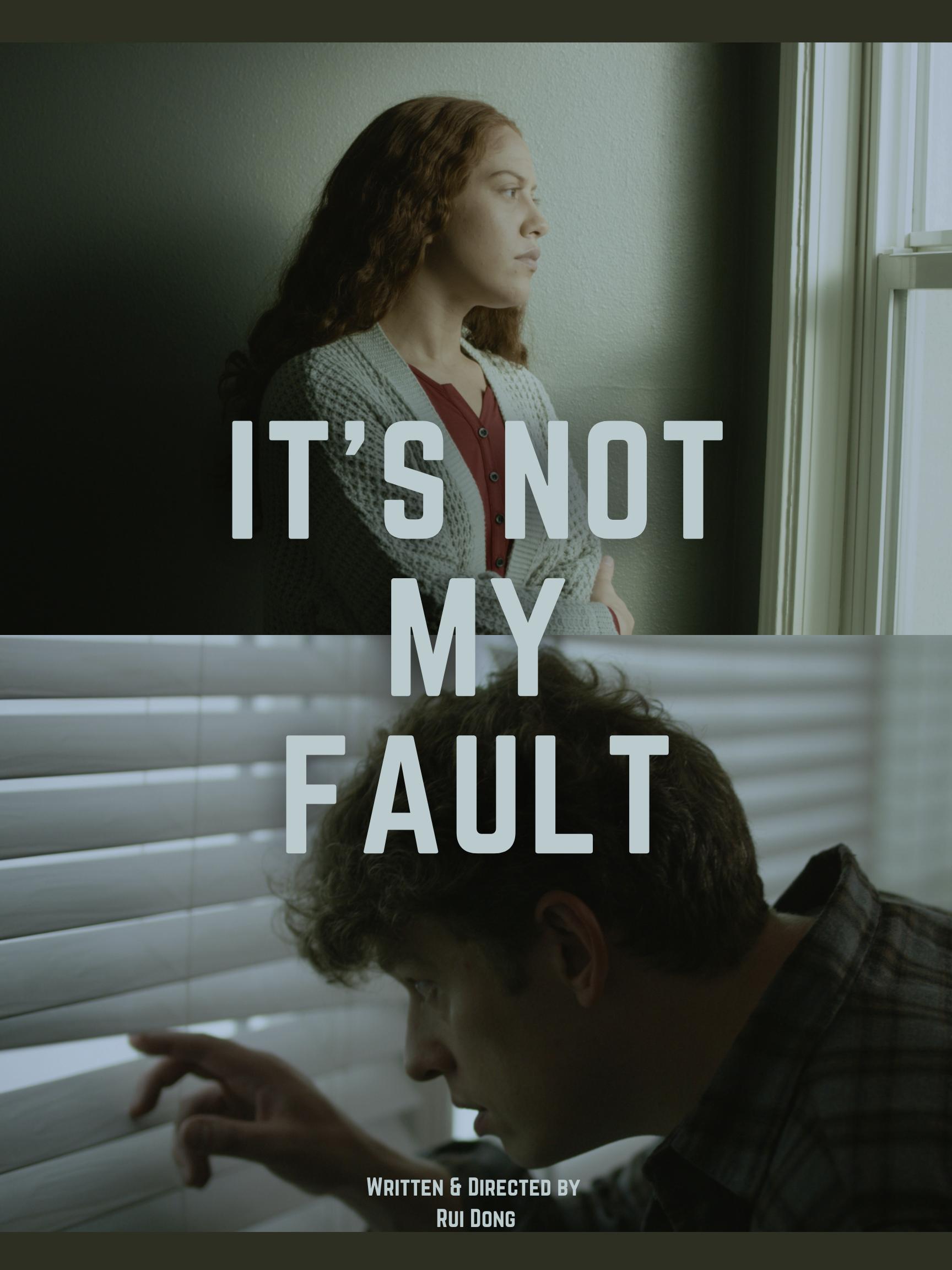 It's Not My Fault (2022)