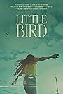 Little Bird (2024)