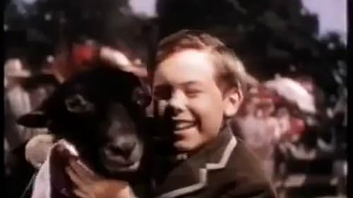 This heartwarming classic tells the tale of a country boy who adopts a mischevious black lamb and learns valuable lessons about love and dedication.