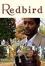 Redbird (2020)