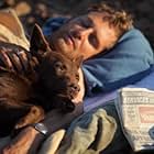 Josh Lucas and Koko in Red Dog (2011)