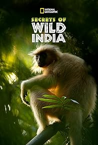 Primary photo for Secrets of Wild India