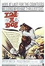 Lad: A Dog (1962)