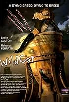 WildCat