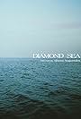 Diamond Sea (2003)