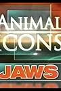 Animal Icons (2004)