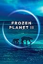 Frozen Planet II (2022)