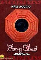 Feng Shui (2004)