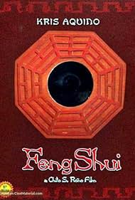 Feng Shui (2004)