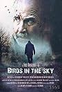 Birds in the Sky (2017)