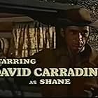 David Carradine in Shane (1966)