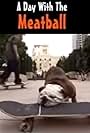 Meatball in A Day with the Meatball (2002)