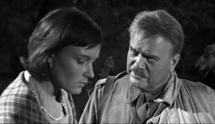 Evgeniy Bondarenko and Svetlana Kuzmina in Nezabyvaemoe (1967)