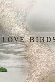 Love Birds (2019)