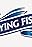 Flying Fish: Why Is It Called Flying Fish?