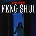 Feng Shui (2004)