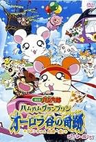 Gekijô ban Tottoko Hamutaro: Ôrora no kiseki - Ribon chan kiki ippatsu!