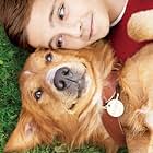 A Dog's Purpose (2017)