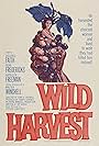 Wild Harvest (1962)
