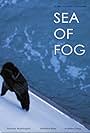 Sea of Fog (2017)