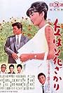 Oka wa hanazakari (1963)