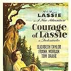 Courage of Lassie (1946)