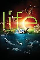 Life (2009)