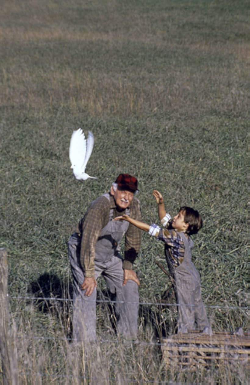 Art Carney and Robert Hy Gorman in Where Pigeons Go to Die (1990)