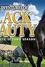 The New Adventures of Black Beauty (1992)
