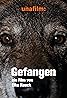 Gefangen (TV Movie 2021) Poster