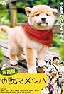 Mameshiba Cubbish Puppy (2009)