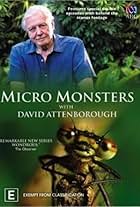 Micro Monsters 3D (2013)