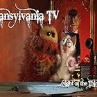 Transylvania Television (2007)