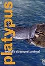 Platypus: World's Strangest Animal (2003)