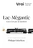 Lac-Mégantic - ceci n'est pas un accident (TV Series 2023– ) Poster