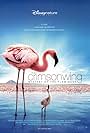 The Crimson Wing: Mystery of the Flamingos (2008)