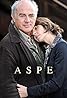 Aspe (TV Series 2004–2014) Poster