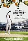 Under the Grapefruit Tree: The CC Sabathia Story (2020)